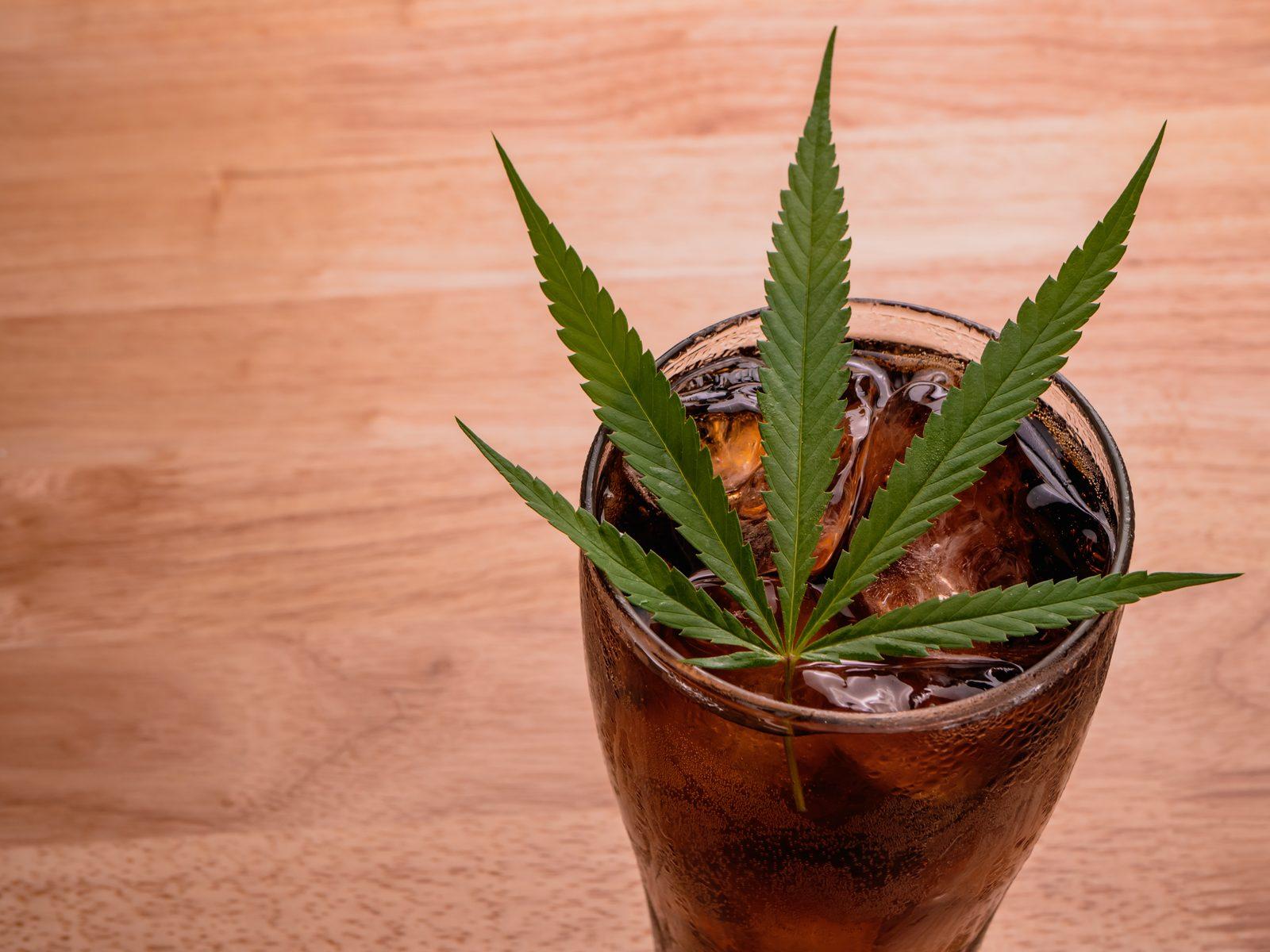 Cannabis Beverages in Chicopee, MA: Effects, Types & Dosing