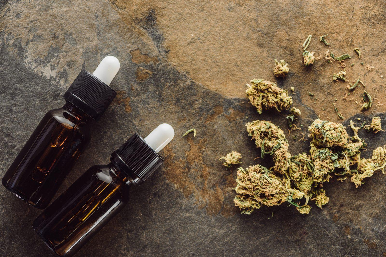 Cannabis Terpenes in Longmeadow, MA: Read the Profile