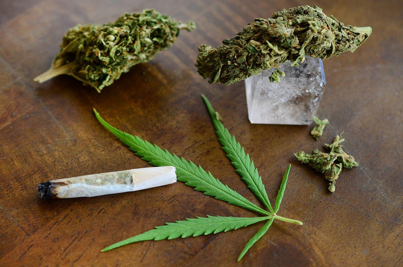 Indica vs Sativa vs Hybrid in Ludlow, MA: Choose Strains Smarter